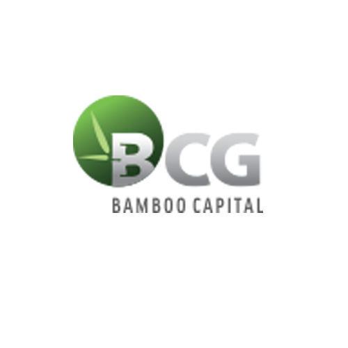 Logo Bcg